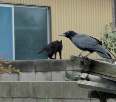 2017_0086.jpg