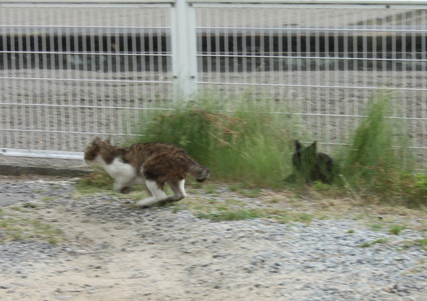 2017_0744.jpg