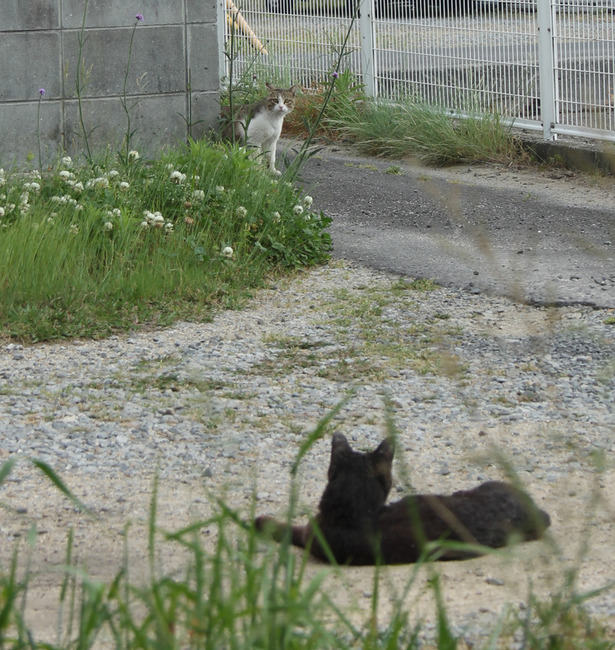 2017_0755.jpg