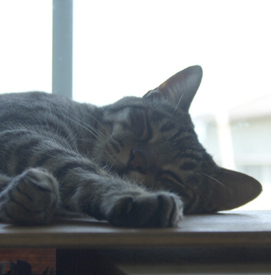 2017_2043.jpg
