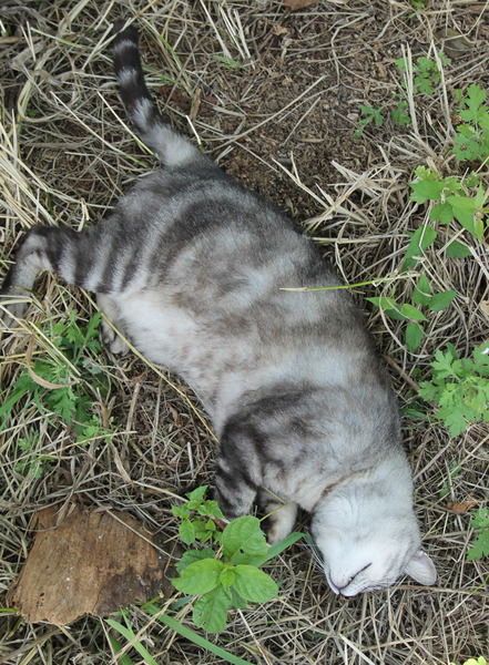 2017_2069.jpg