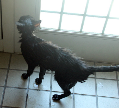 2017_3075.jpg
