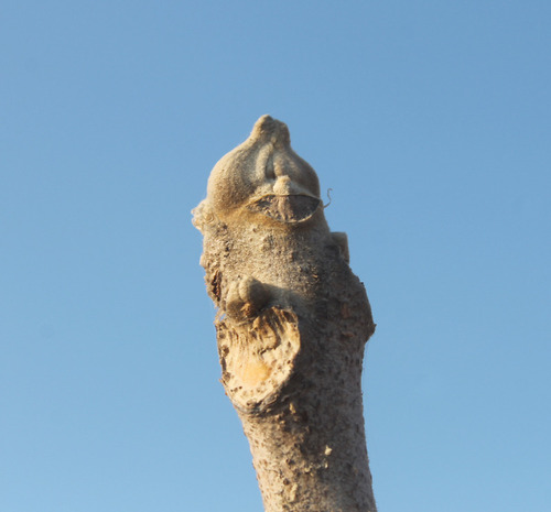 2017_5327.jpg