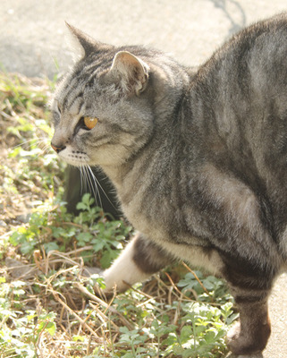 2017_9123.jpg