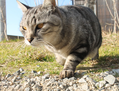 2017_9129.jpg