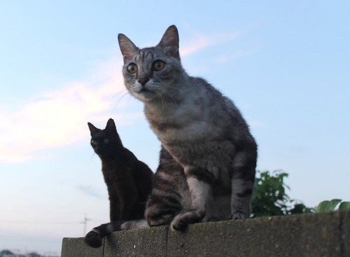 2019_9595.jpg