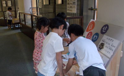 DSCN0050.jpg