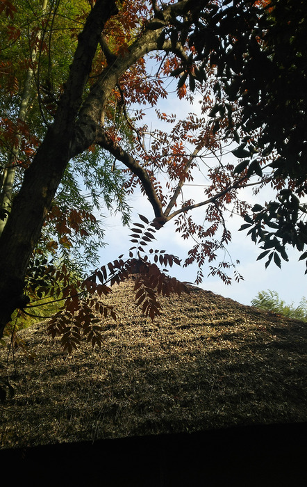 DSC_0085.jpg