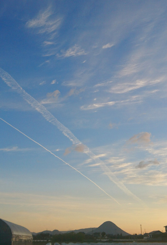 DSC_1268.jpg