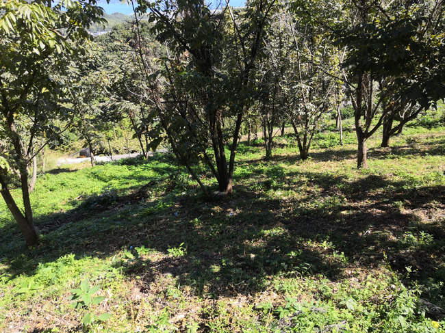 IMG_20191016_115231.jpg