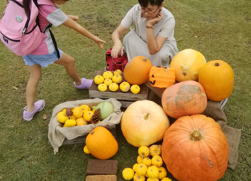 IMG_20191020_094745.jpg