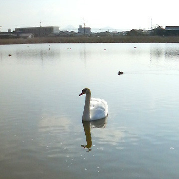 P1000445.jpg