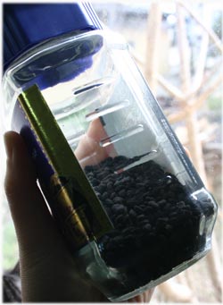 1/12漆珈琲2