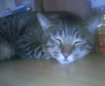 201109111605000.jpg