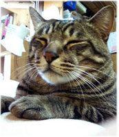 201112301511001.jpg