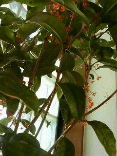 201210191658000.jpg