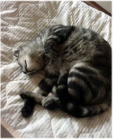 201212598.jpg