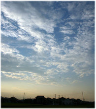 2012MG_5935.jpg