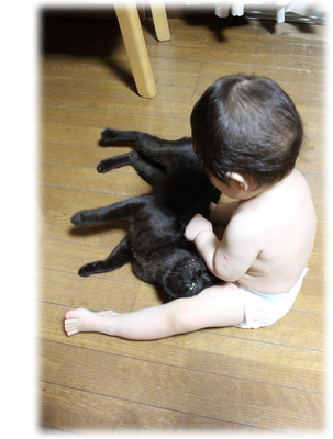 赤ちゃんと猫２