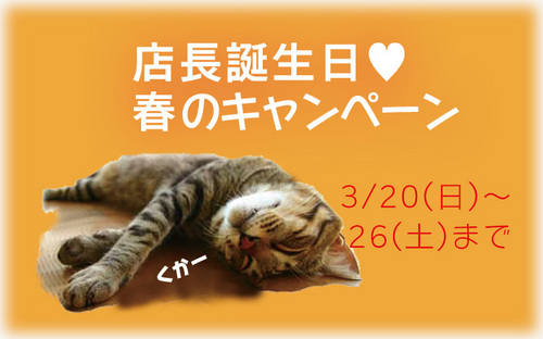 国産漆のうつわ専門店 和×和 春のキャンペーン