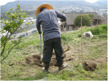 DSCN2967.jpg
