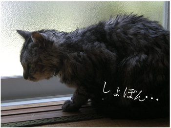 DSCN2993.jpg