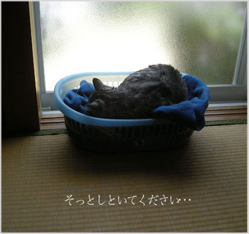 DSCN2994.jpg