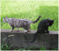 DSCN3049.jpg