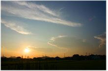 IMG_2414.jpg